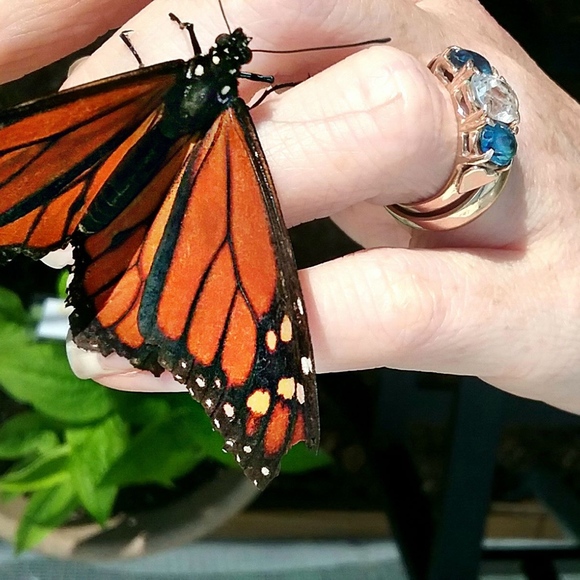 🥰 Homeschooling mom, painter &  crafter.👨‍🎤 - Picture 2 of 9